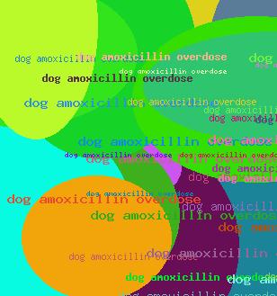 DOG AMOXICILLIN OVERDOSE